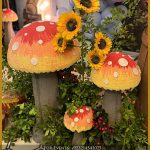 Winnie the Pooh birthday decoration setup in Lahore Pakistan