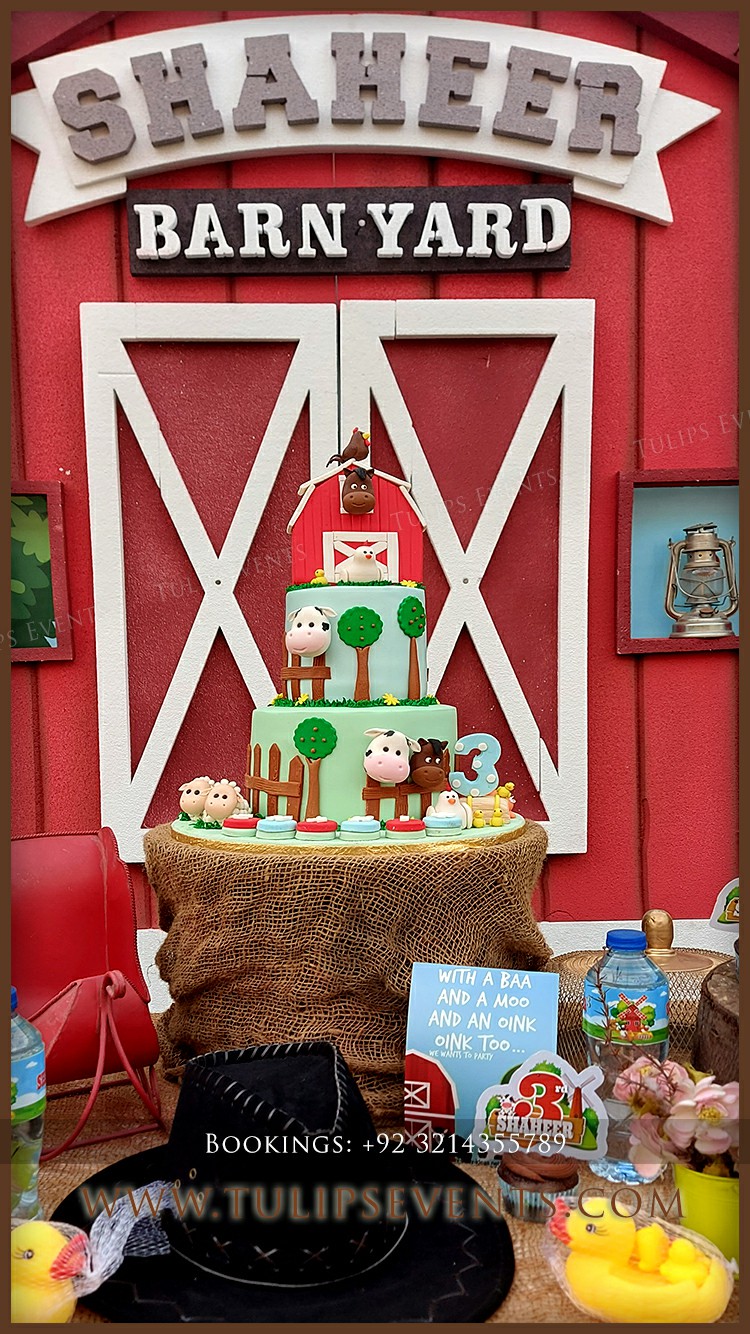 Barnyard Birthday Party Theme decorations ideas in Lahore (1)