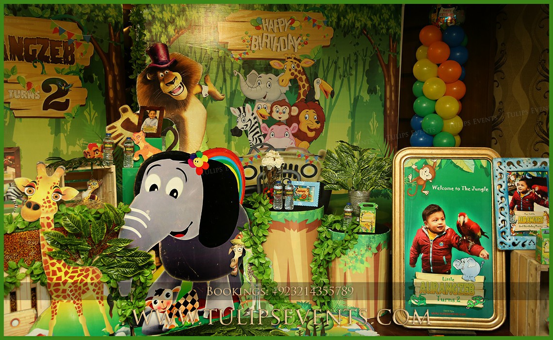 Best Safari Jungle Zoo Rainforest Wild Party decor in Pakistan (13)