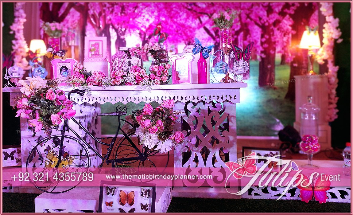 Butterfly Theme Garden Birthday Party Ideas in Pakistan (14)