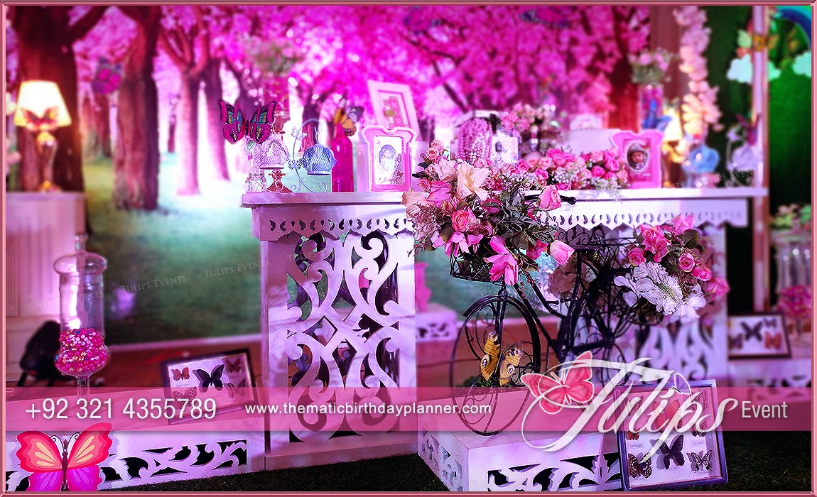 Butterfly Theme Garden Birthday Party Ideas in Pakistan (15)