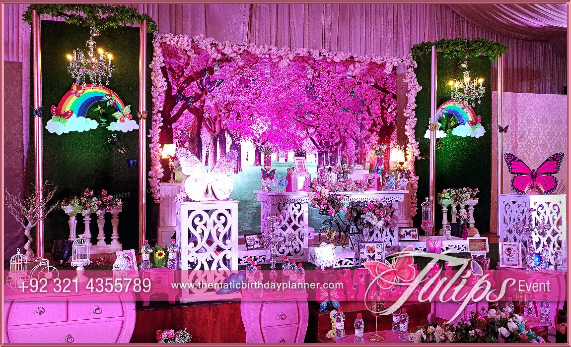 Butterfly Theme Garden Birthday Party Ideas in Pakistan (9)