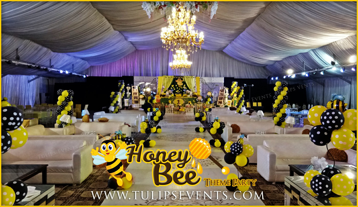 Honey Bee Themed First Birthday Party ideas in Pakistan (10)