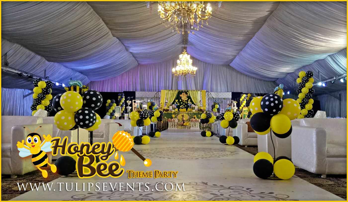 Honey Bee Themed First Birthday Party ideas in Pakistan (11)