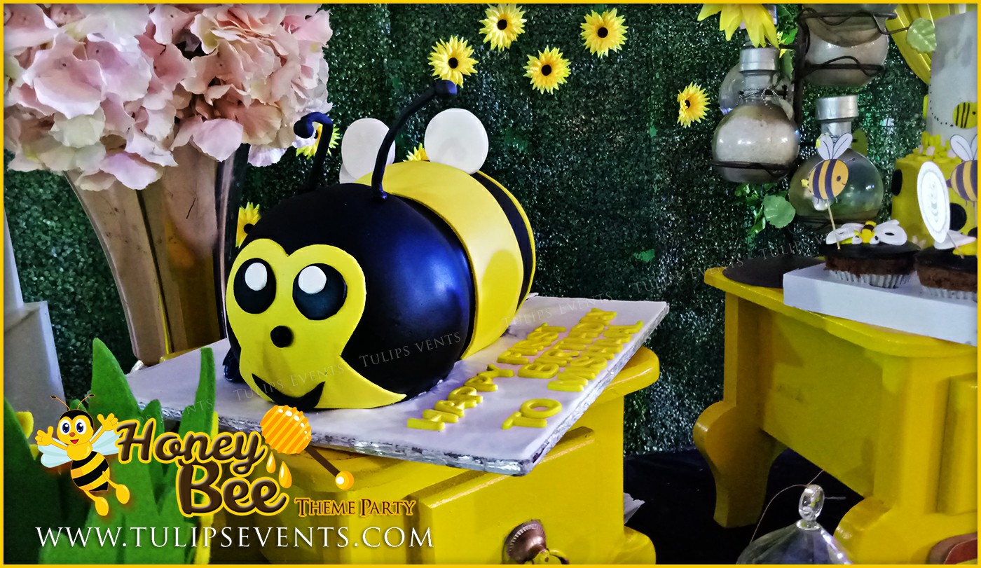 Honey Bee Themed First Birthday Party ideas in Pakistan (12)