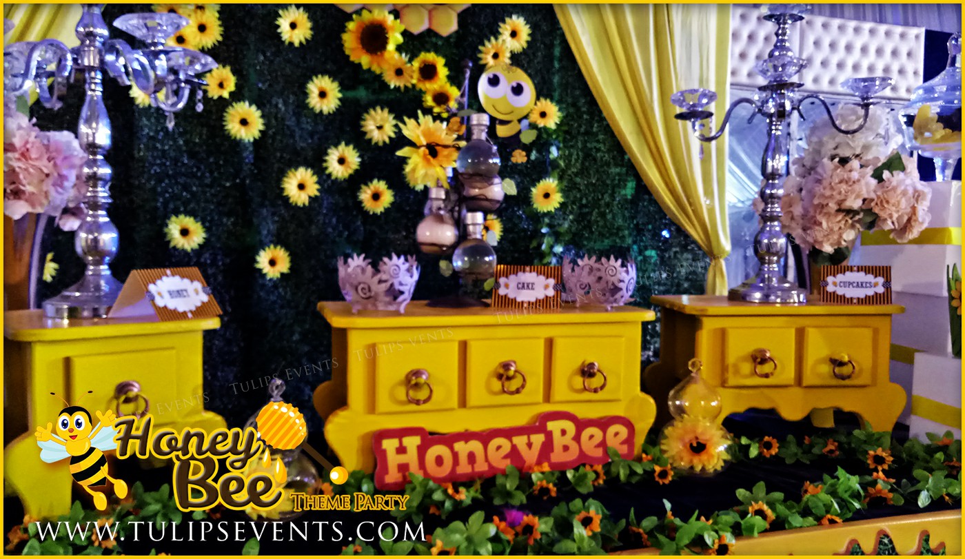 Honey Bee Themed First Birthday Party ideas in Pakistan (13)