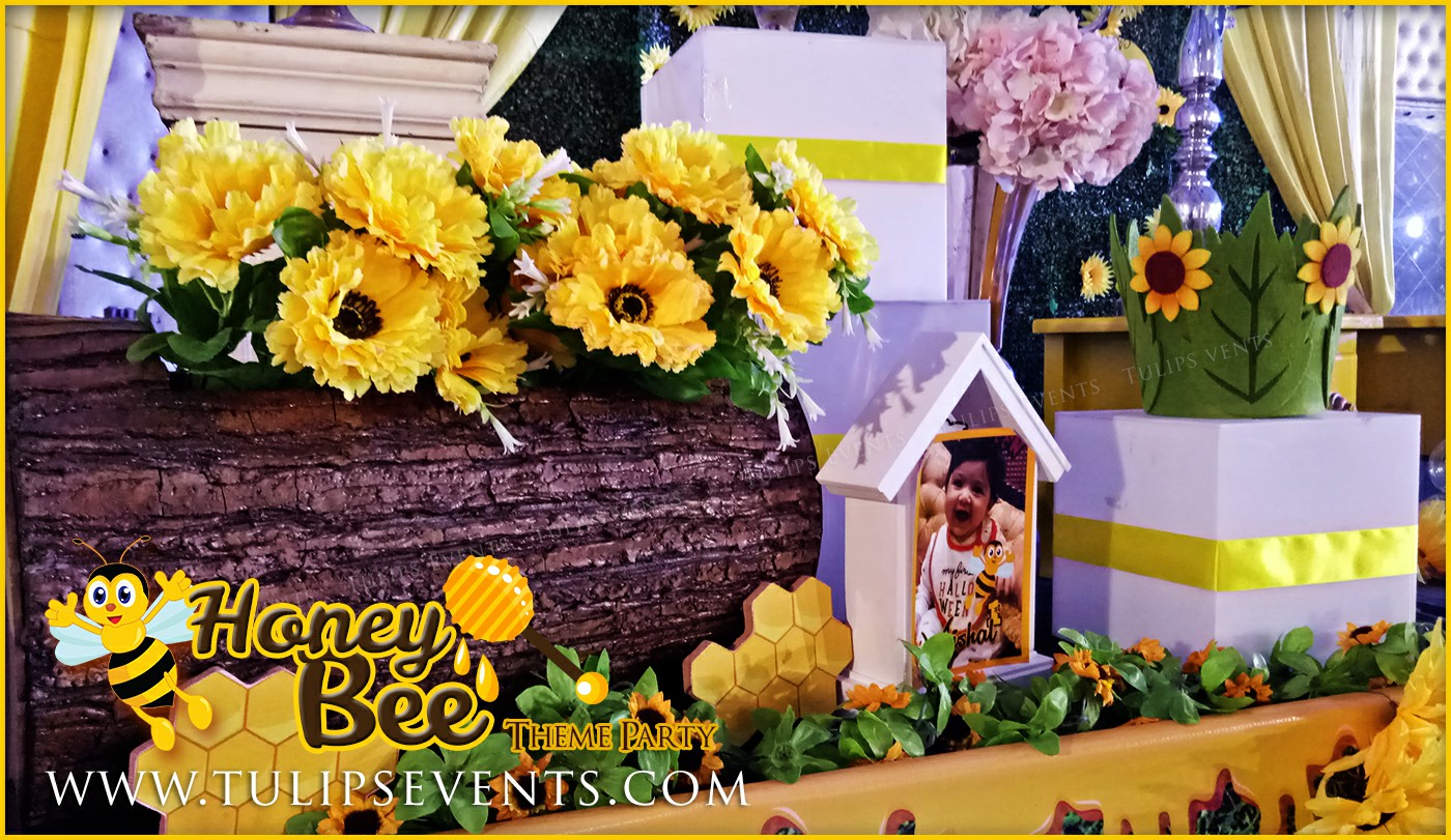 Honey Bee Themed First Birthday Party ideas in Pakistan (8)