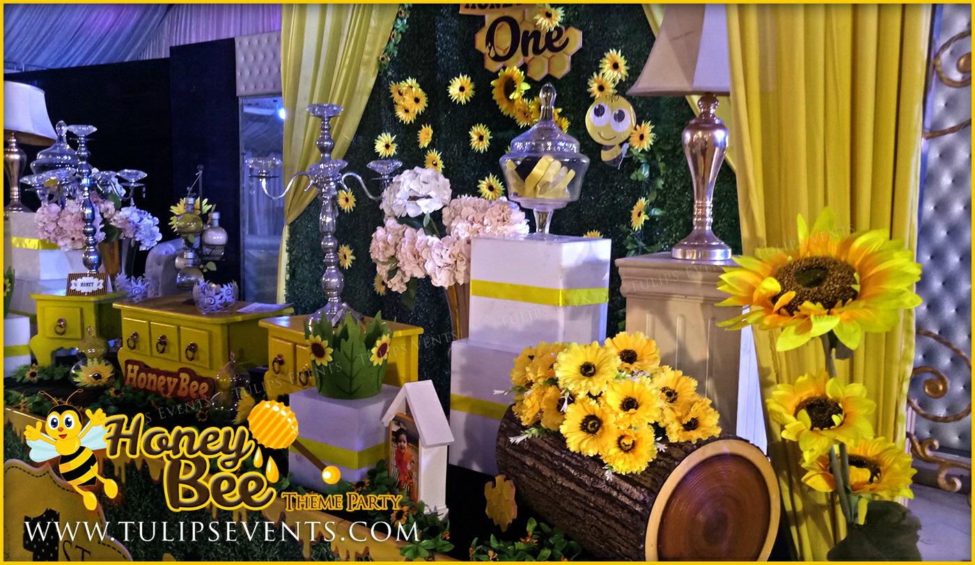 Honey Bee Themed First Birthday Party ideas in Pakistan (9)