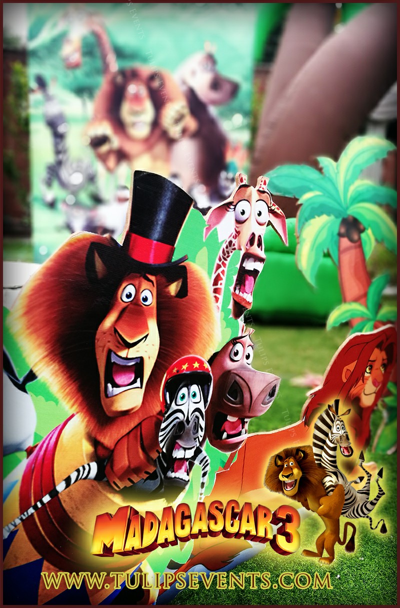 Madagascar theme birthday party ideas in Pakistan (11)