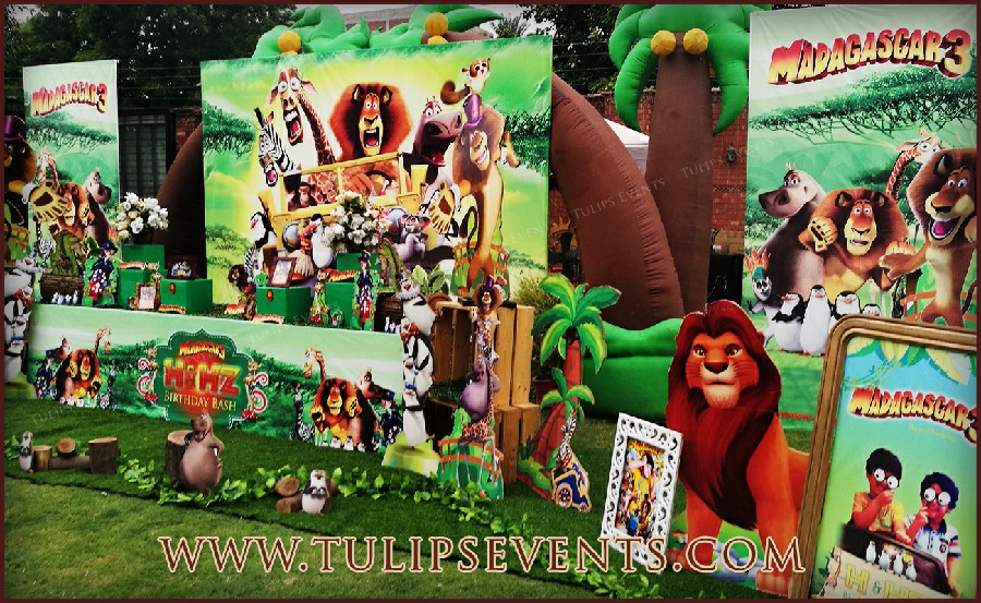 Madagascar theme birthday party ideas in Pakistan (2)