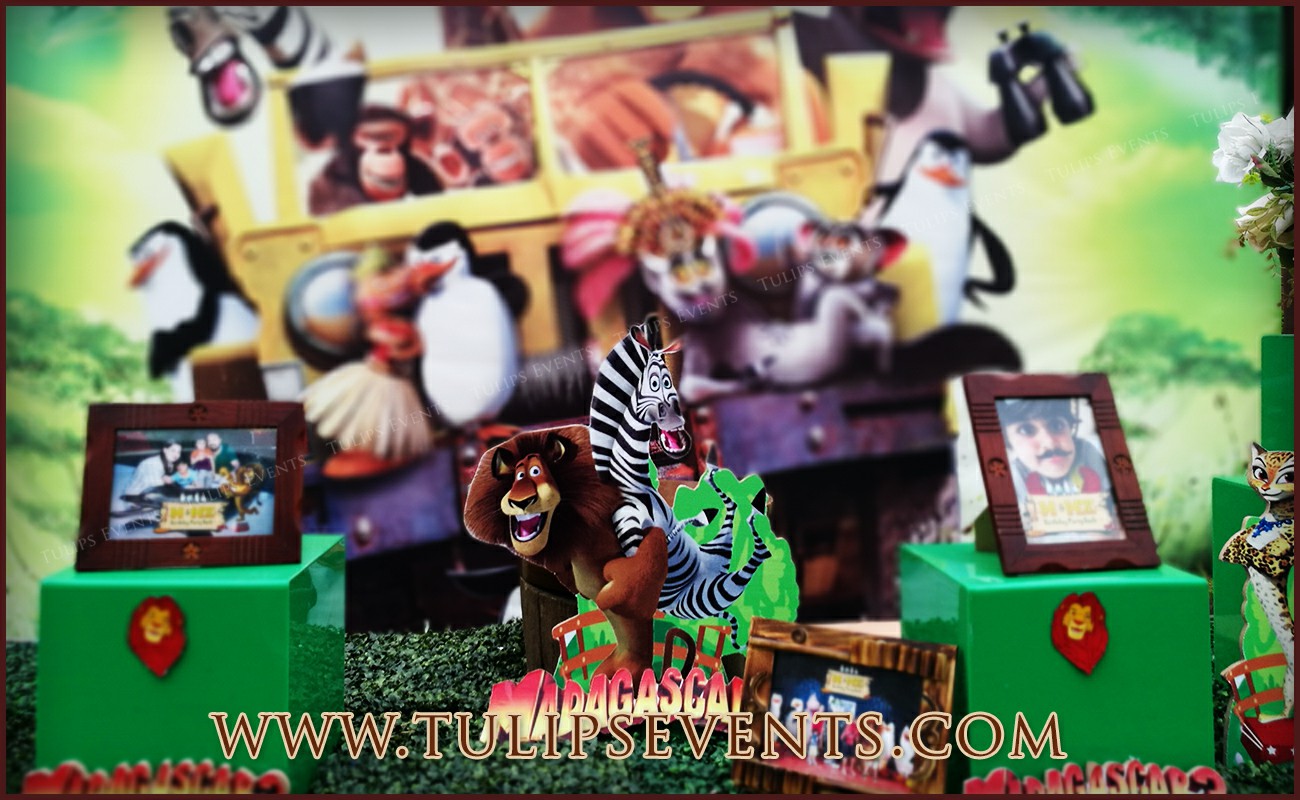 Madagascar theme birthday party ideas in Pakistan (4)