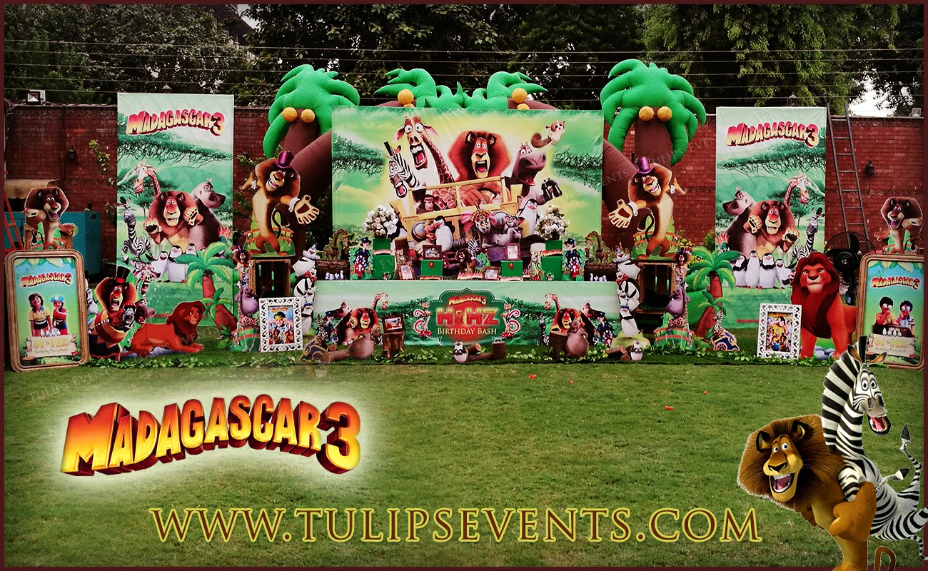 Madagascar theme birthday party ideas in Pakistan (8)