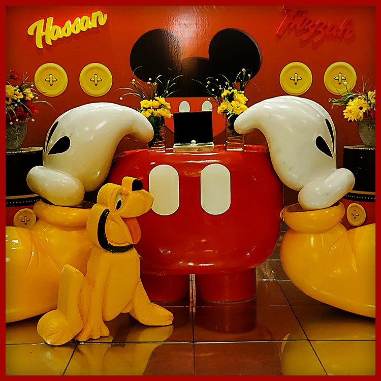 Mickey and Minnie Twins Birthday Party ideas in Pakistan (5)