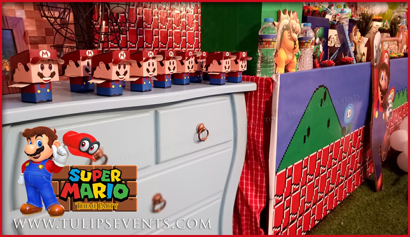 Super Mario Bros Party theme ideas in Pakistan (1)