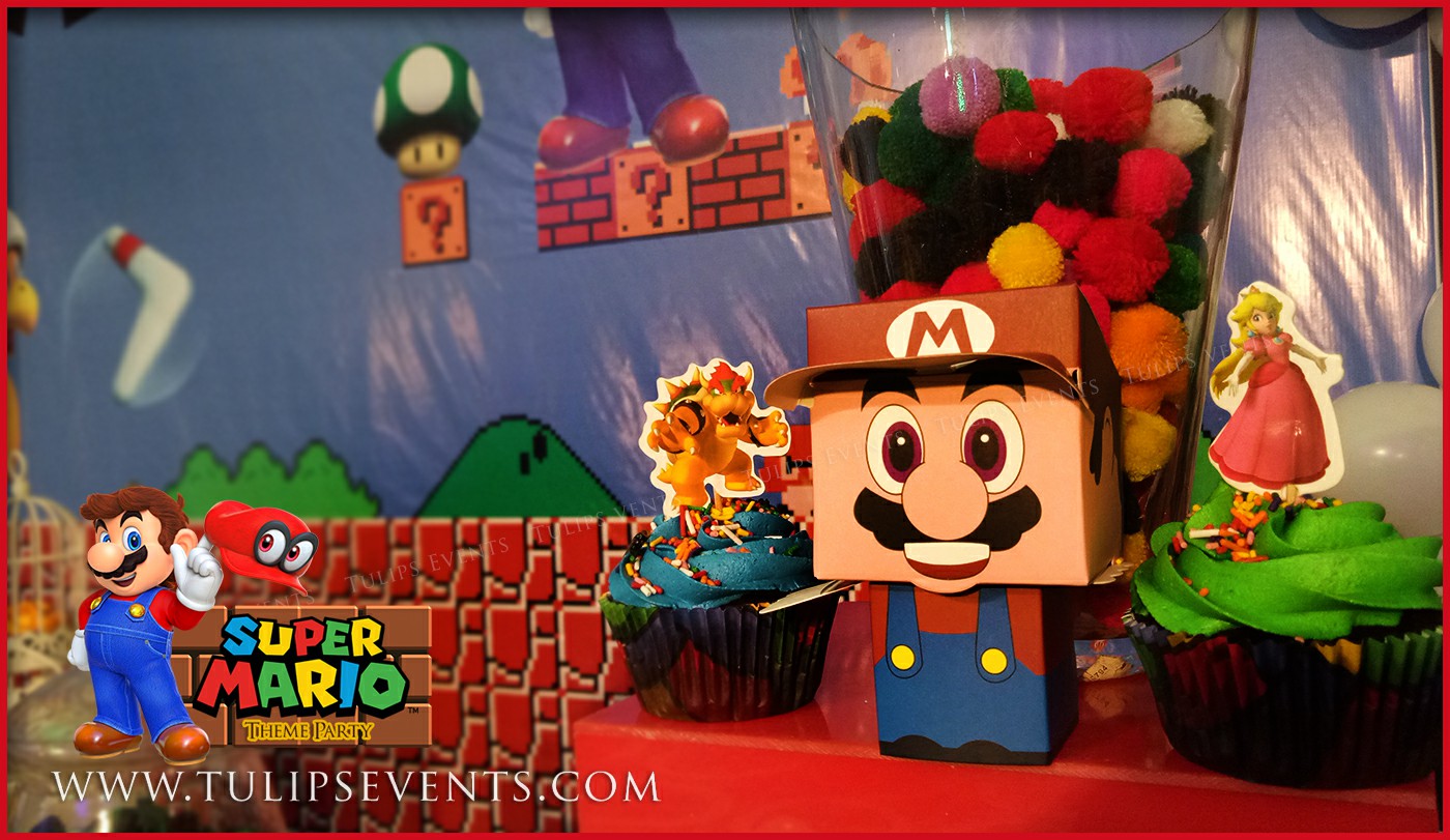 Super Mario Bros Party theme ideas in Pakistan (10)