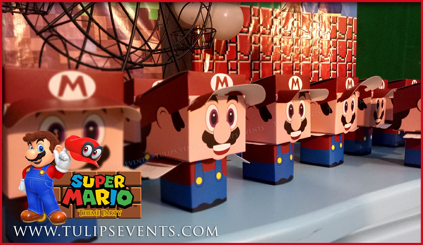 Super Mario Bros Party theme ideas in Pakistan (2)