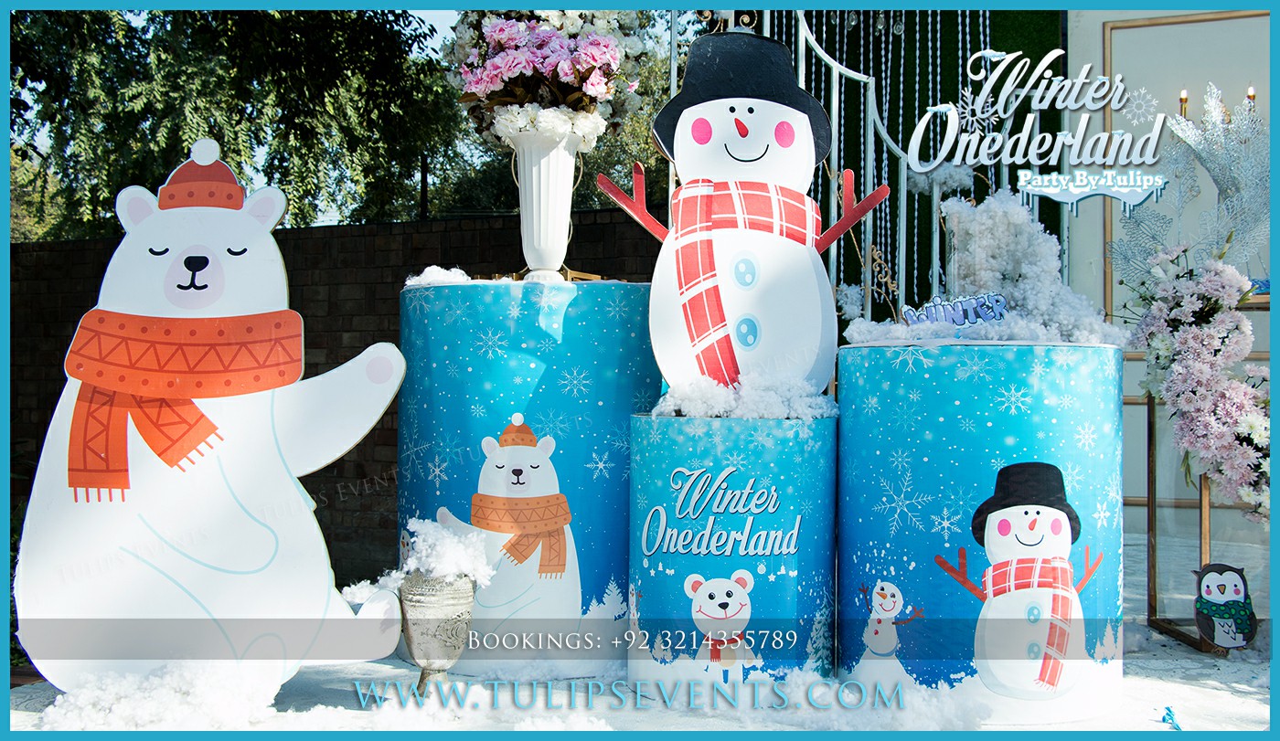 Winter Onederland Birthday Decor Ideas in Pakistan (8)