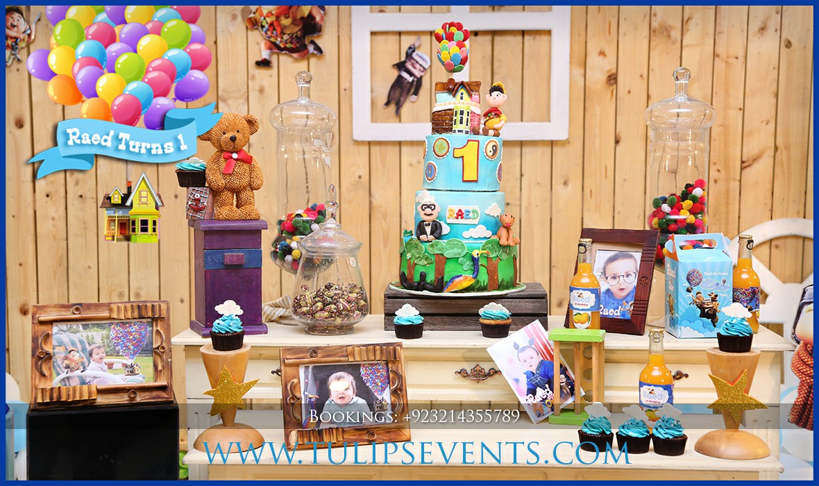 russell up movie themed party ideas in Pakistan (50)