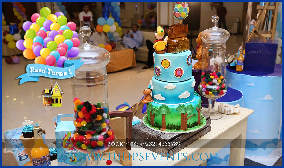 russell up movie themed party ideas in Pakistan (53)