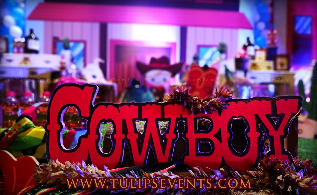 Little Cowboy Howdy Party Theme decoration ideas in Pakistan (21)~1