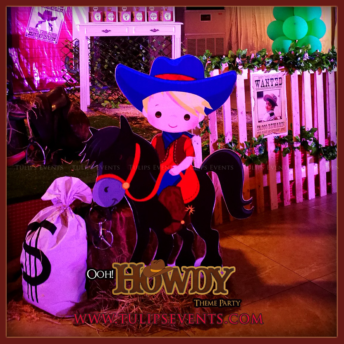 Little Cowboy Howdy Party Theme decoration ideas in Pakistan (28)~1