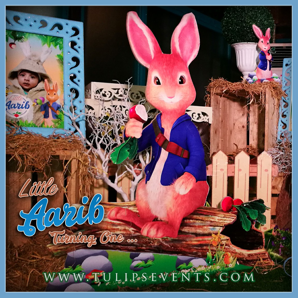 peter rabbit themed 1st birthday party decoration ideas in Pakistan (4)