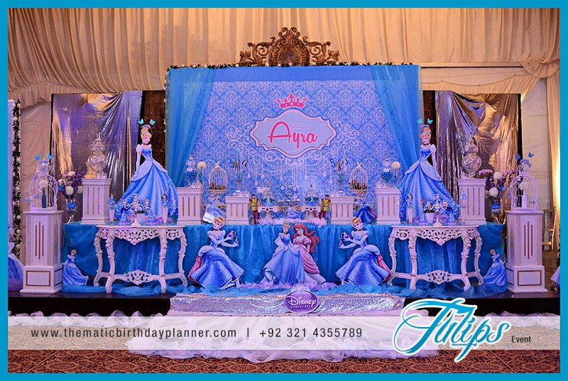 Disney Princess Cinderella birthday party theme ideas in Pakistan (2)