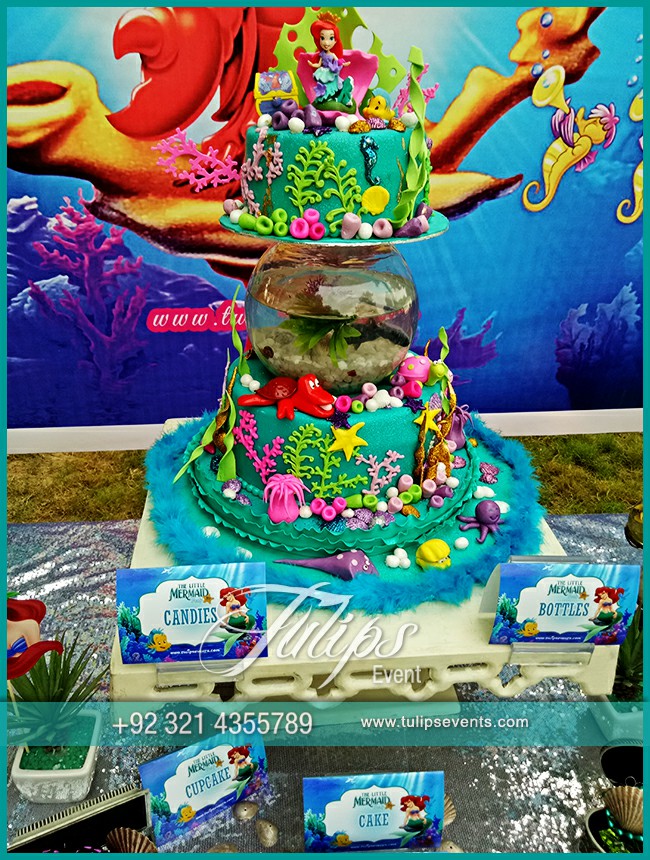 Little Mermaid Party theme decoration ideas in Pakistan (6)