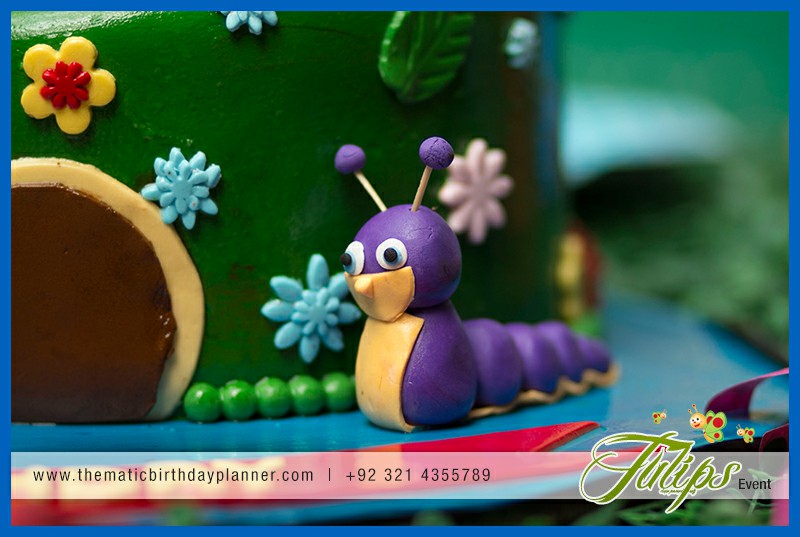 baby tv birthday party theme ideas in Lahore Pakistan (10)