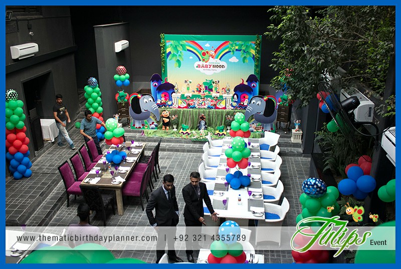 baby tv birthday party theme ideas in Lahore Pakistan (17)