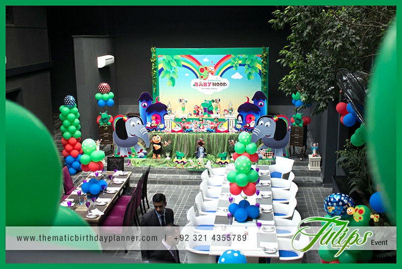 baby tv birthday party theme ideas in Lahore Pakistan (18)