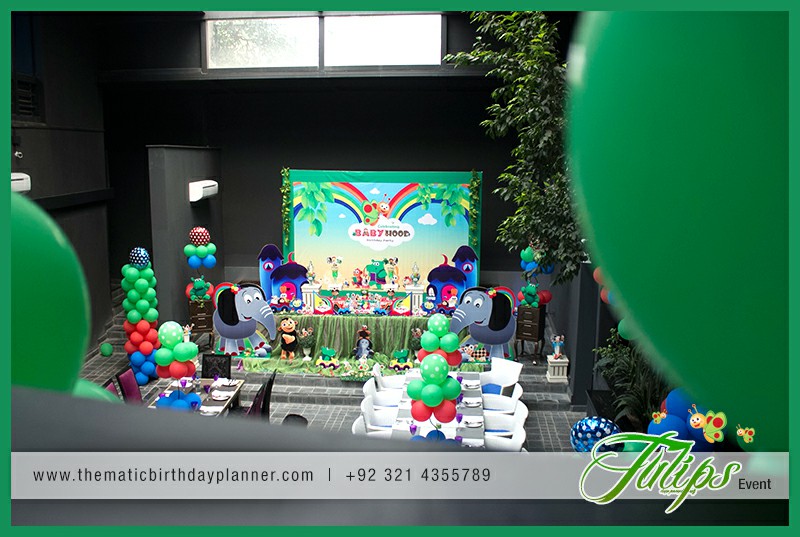 baby tv birthday party theme ideas in Lahore Pakistan (19)