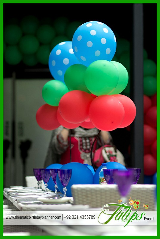 baby tv birthday party theme ideas in Lahore Pakistan (6)