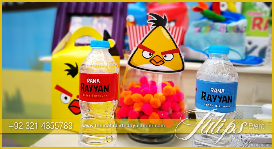 Angry Birds Birthday Party Theme decoration ideas in Pakistan (2)