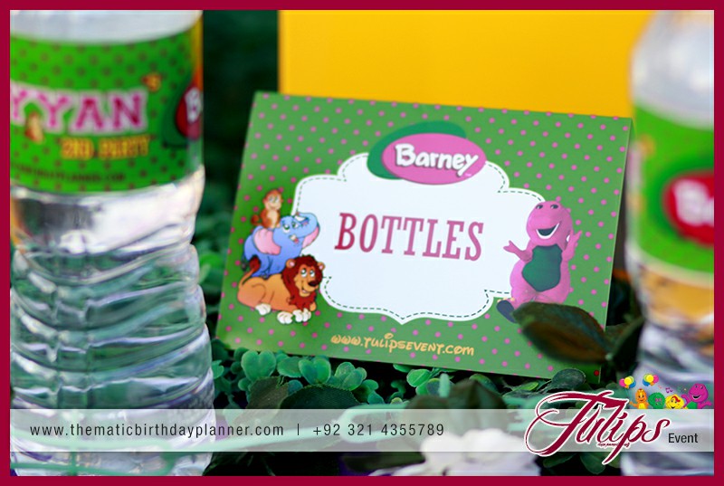 Barney party panning ideas by tulips events in Pakistan (24)