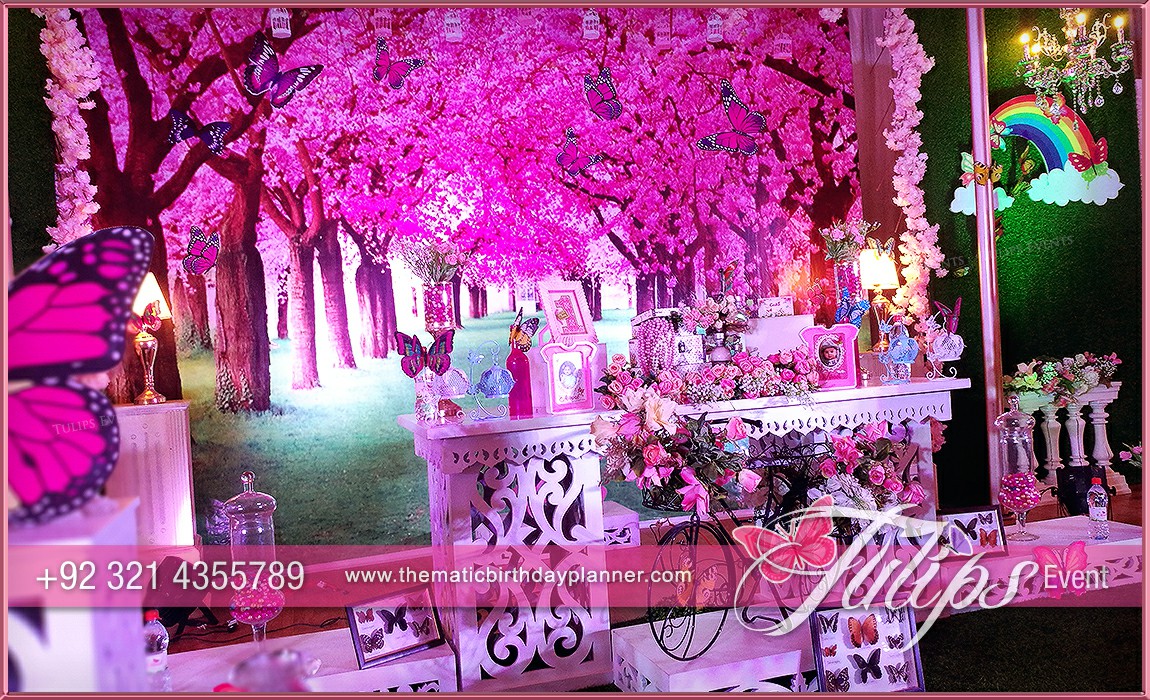 Butterfly Theme Garden Birthday Party Ideas in Pakistan (1)