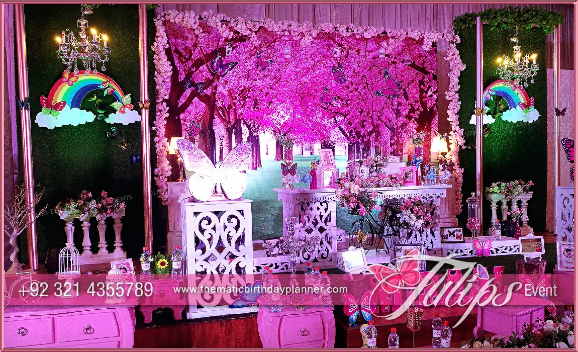 Butterfly Theme Garden Birthday Party Ideas in Pakistan (10)