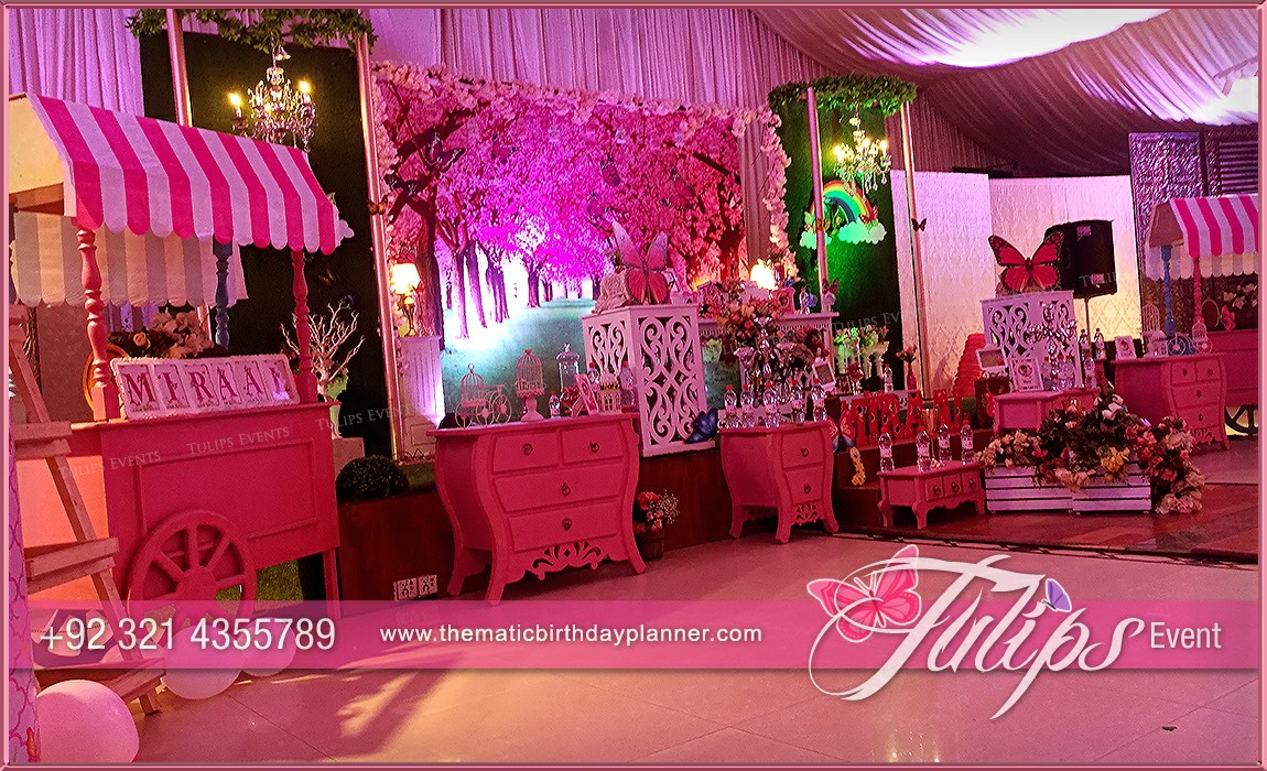 Butterfly Theme Garden Birthday Party Ideas in Pakistan (11)