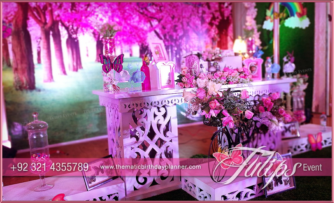 Butterfly Theme Garden Birthday Party Ideas in Pakistan (2)