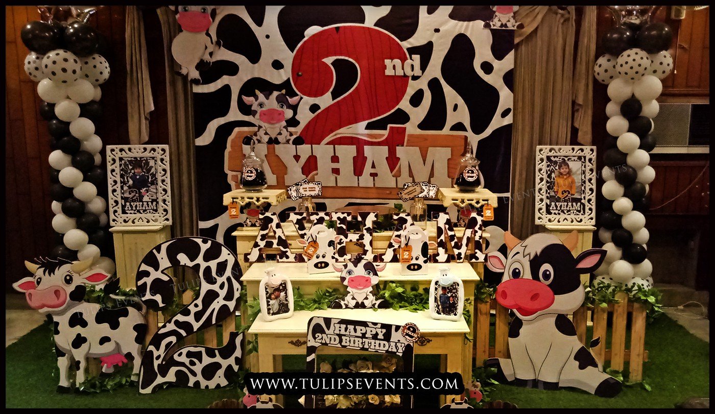 Cow Theme Birthday Party ideas in Pakistan (10)