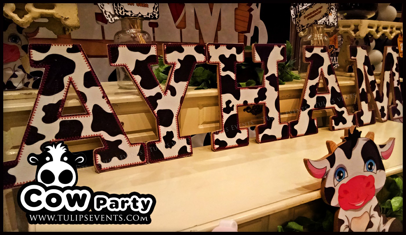 Cow Theme Birthday Party ideas in Pakistan (12)