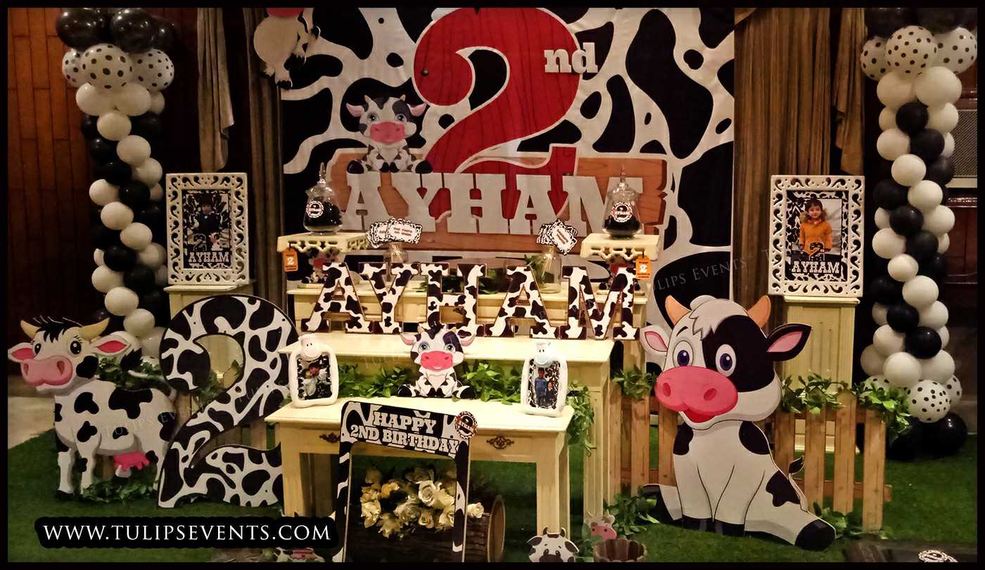 Cow Theme Birthday Party ideas in Pakistan (14)