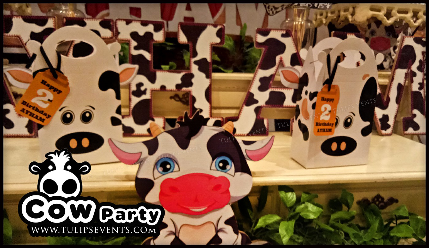 Cow Theme Birthday Party ideas in Pakistan (2)