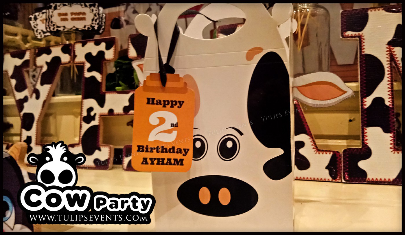 Cow Theme Birthday Party ideas in Pakistan (3)