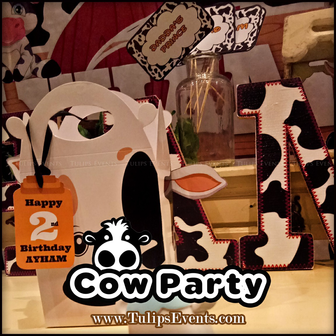 Cow Theme Birthday Party ideas in Pakistan (6)