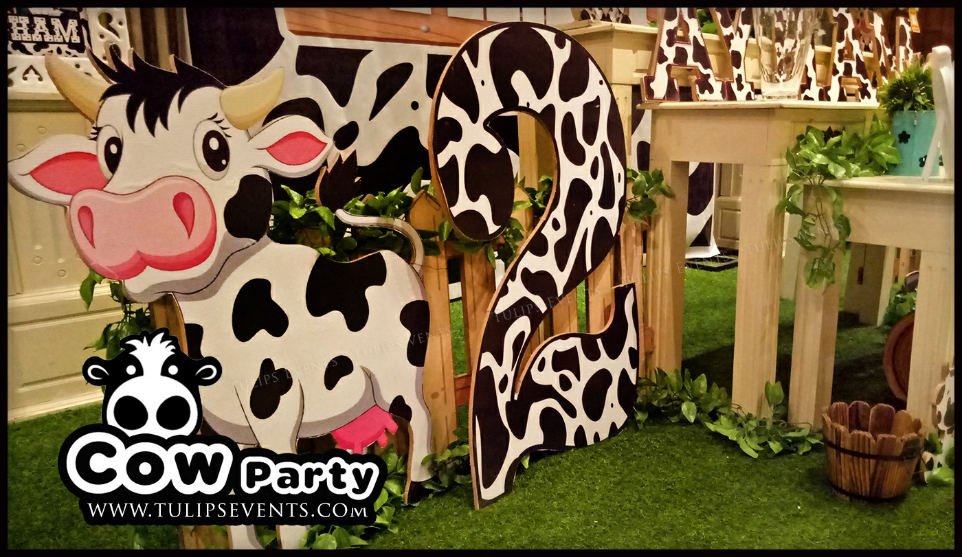 Cow Theme Birthday Party ideas in Pakistan (8)