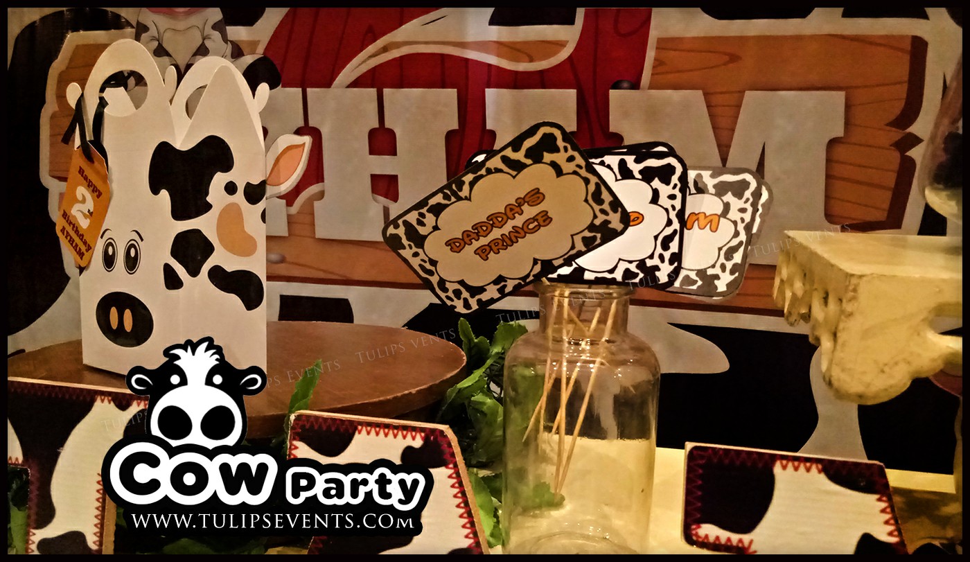 Cow Theme Birthday Party ideas in Pakistan (9)