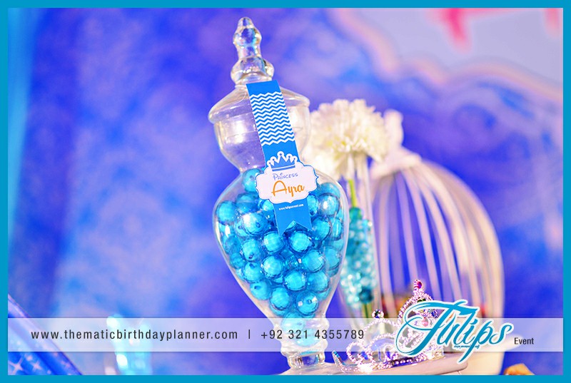 Disney Princess Cinderella birthday party theme ideas in Pakistan (5)