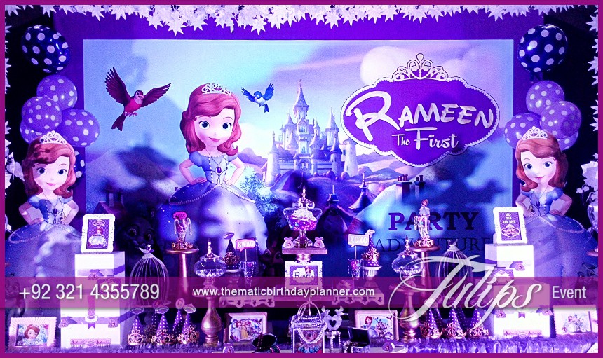 Disney Sofia First Birthday Ideas for Girls in Pakistan (10)