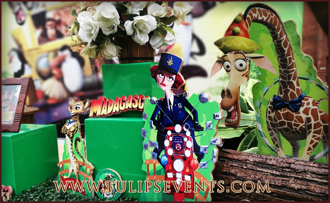 Madagascar theme birthday party ideas in Pakistan (3)